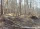 photo36_small.jpg