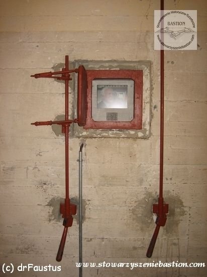 photo11.jpg