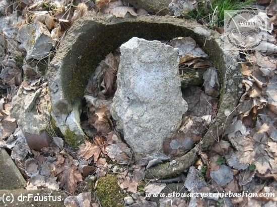 photo311.jpg