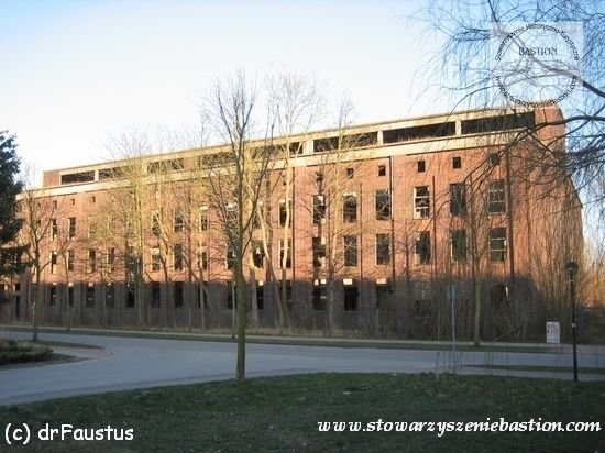 photo374.jpg