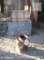 photo396_small.jpg
