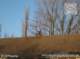 photo448_small.jpg