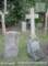 photo478_small.jpg