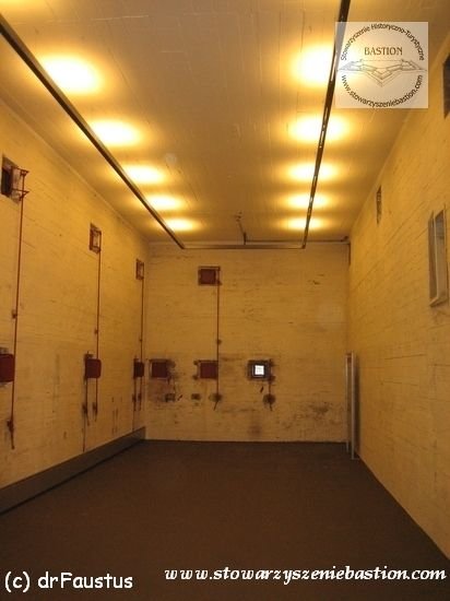 photo9.jpg