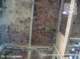 photo180_small.jpg